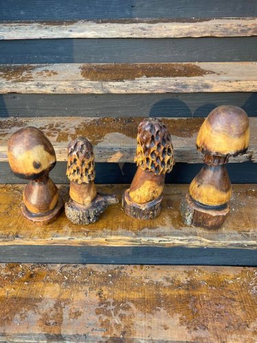 Photo post from I Saw It in Mn, Llc.