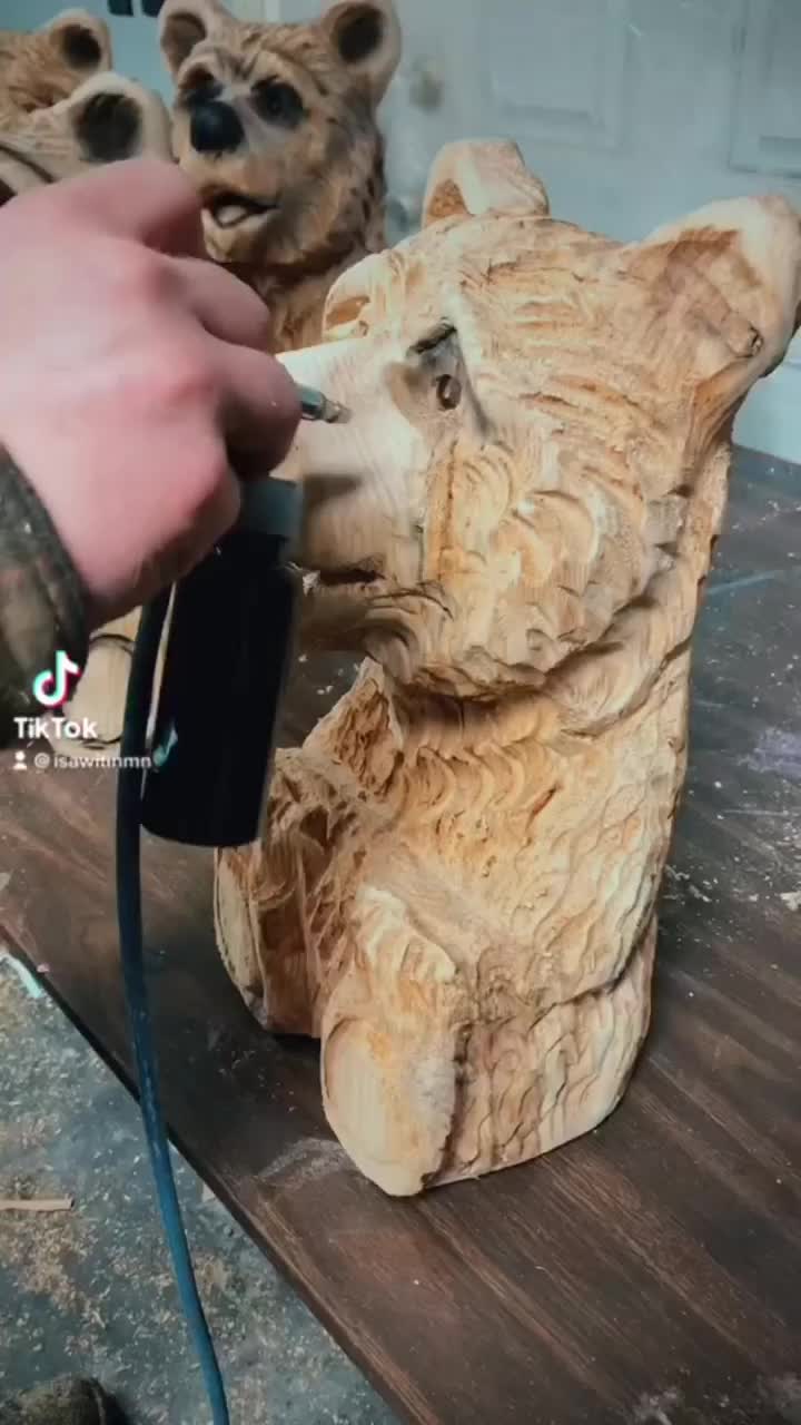 Video post from I Saw It in Mn, Llc.