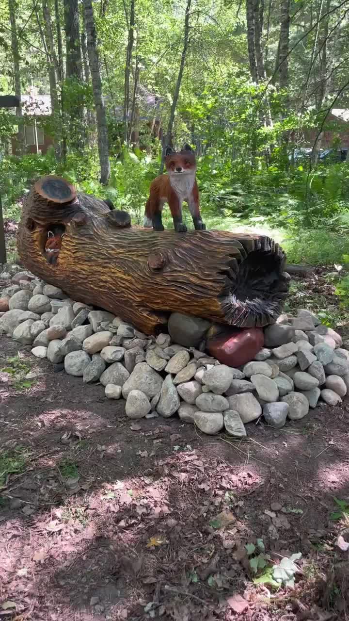 Video post from I Saw It in Mn, Llc.