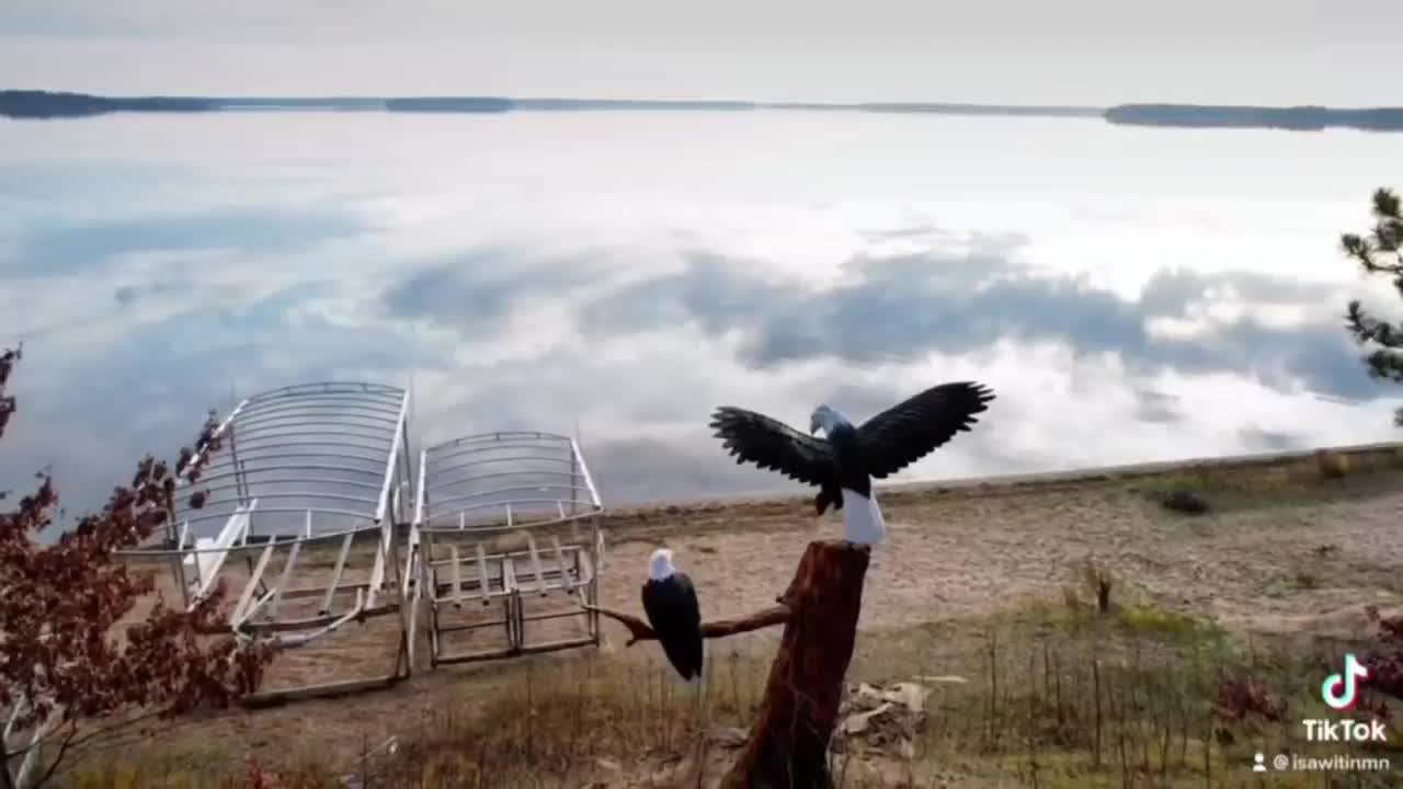 Video post from I Saw It in Mn, Llc.