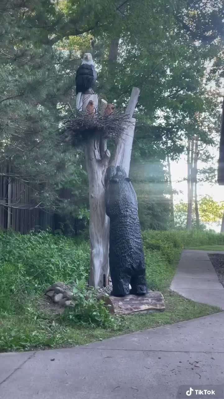 Video post from I Saw It in Mn, Llc.