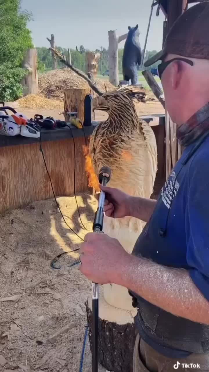 Video post from I Saw It in Mn, Llc.