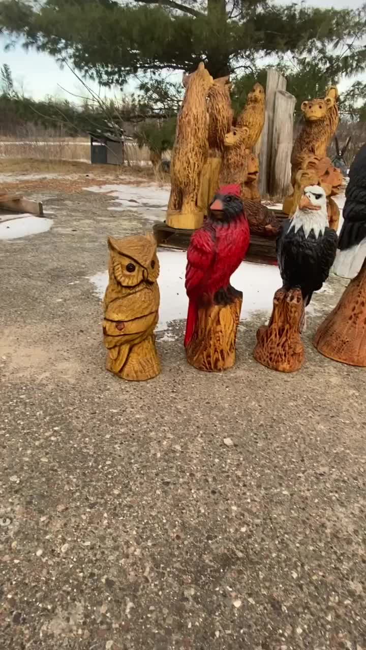 Video post from I Saw It in Mn, Llc.