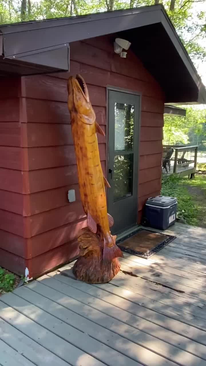 Video post from I Saw It in Mn, Llc.