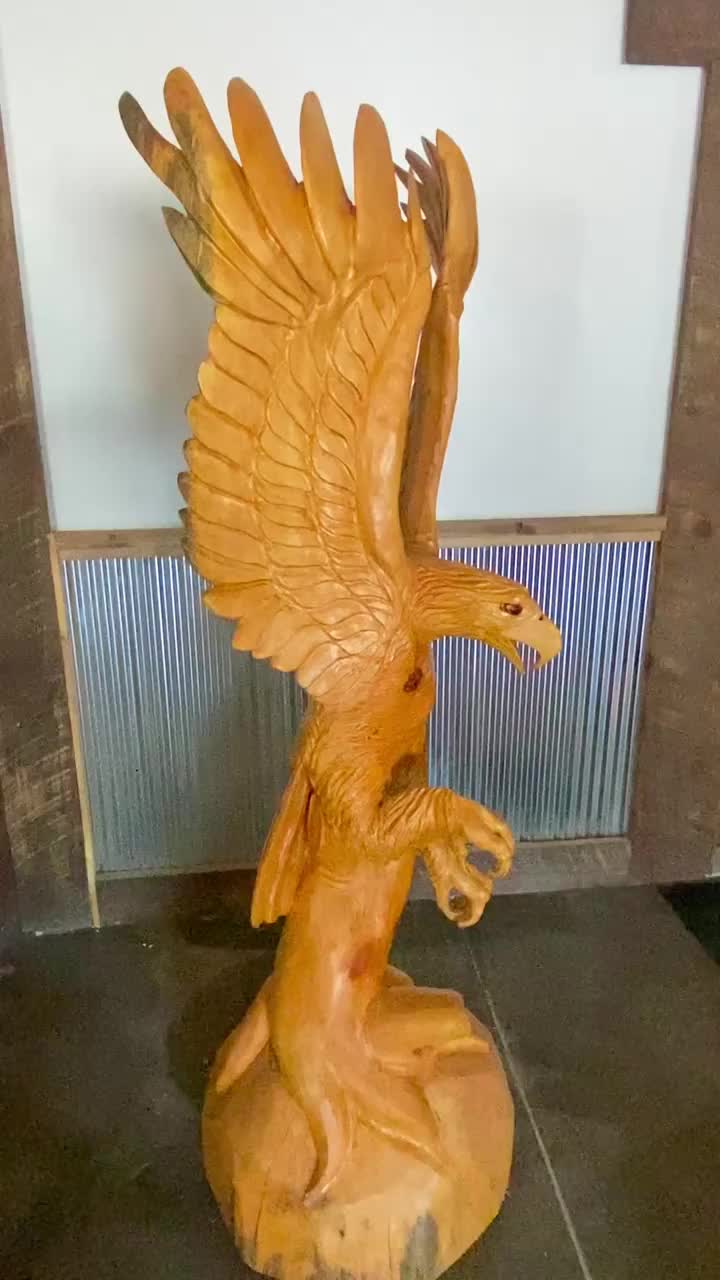 Video post from I Saw It in Mn, Llc.