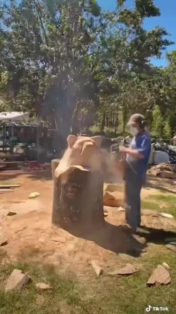 Video post from I Saw It in Mn, Llc.