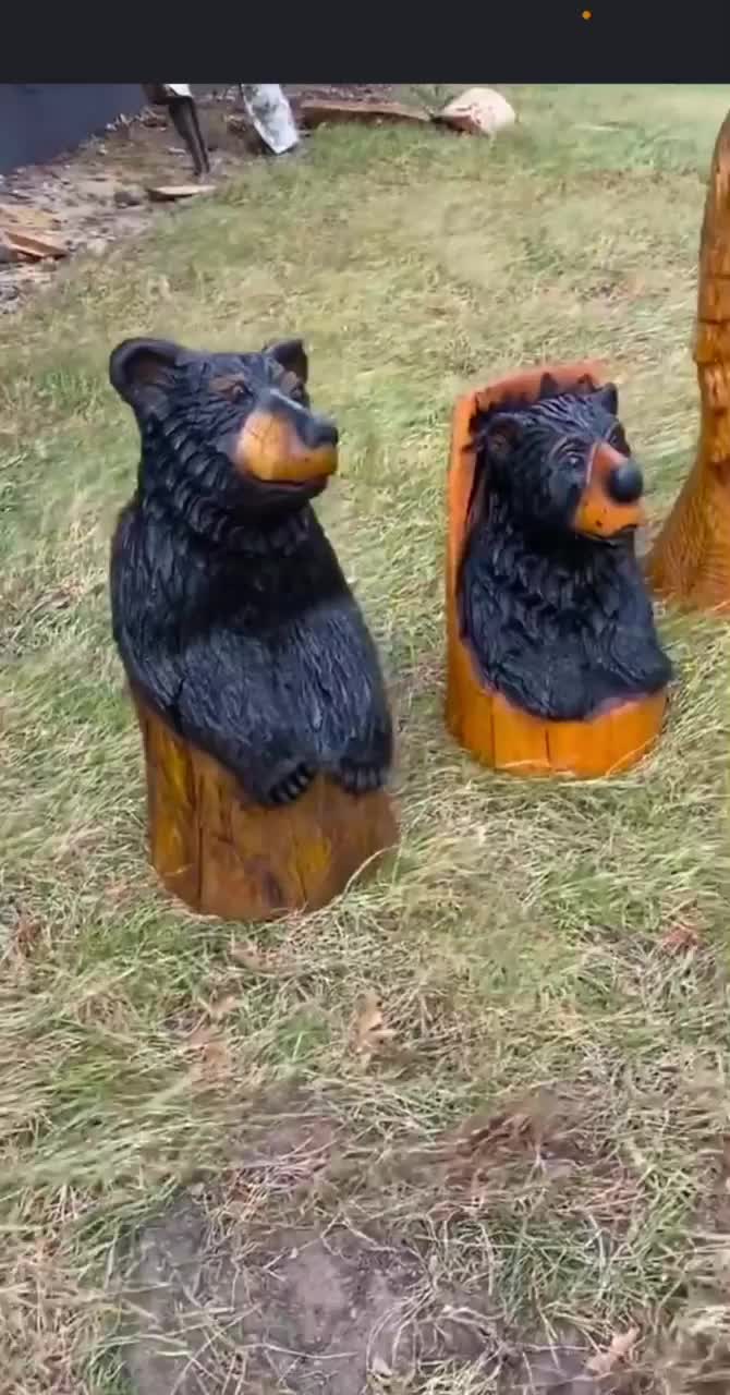 Video post from I Saw It in Mn, Llc.