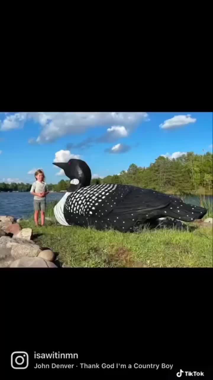 Video post from I Saw It in Mn, Llc.