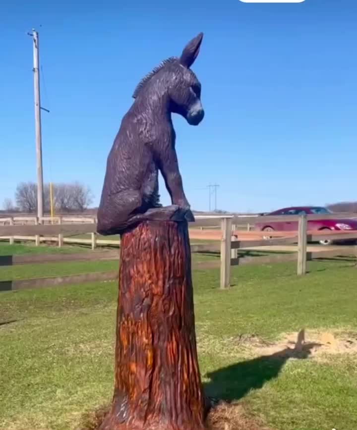 Video post from I Saw It in Mn, Llc.