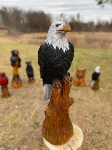 Carousel post from I Saw It in Mn, Llc.