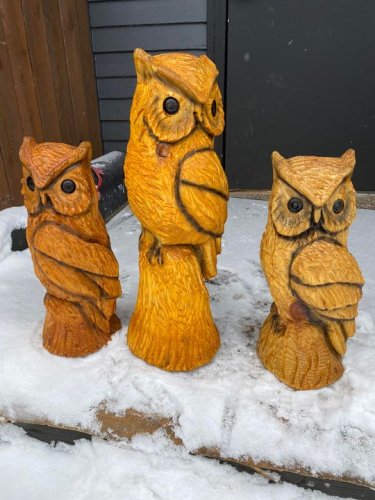 Photo post from I Saw It in Mn, Llc.