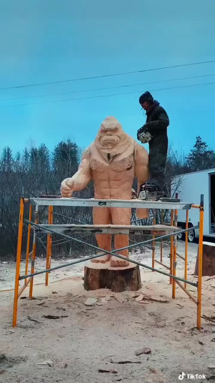 Video post from I Saw It in Mn, Llc.