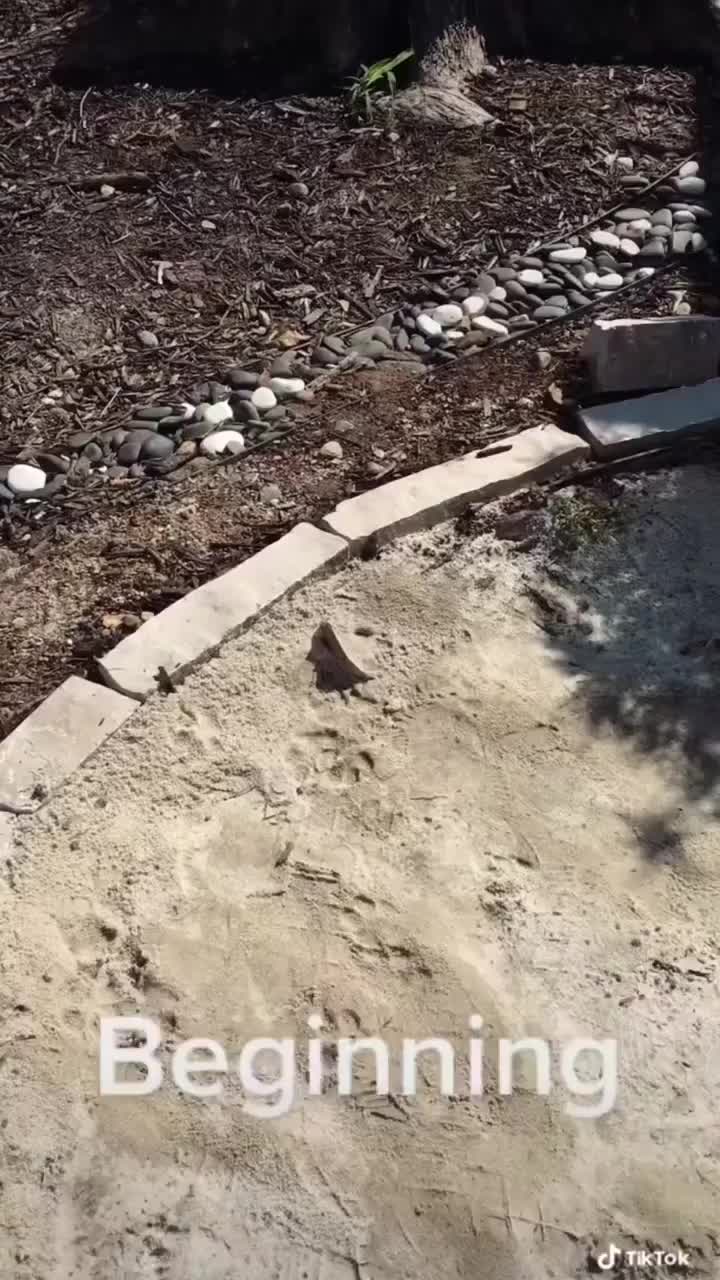 Video post from I Saw It in Mn, Llc.