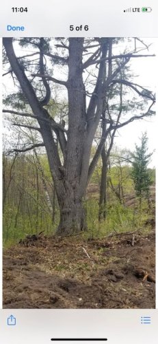 Carousel post from I Saw It in Mn, Llc.