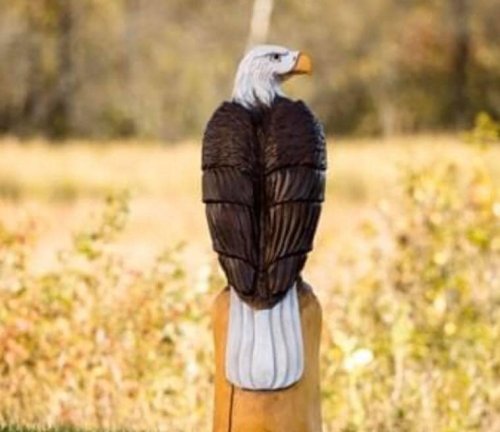 Carousel post from I Saw It in Mn, Llc.