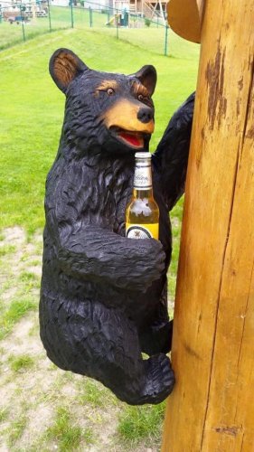 Photo post from I Saw It in Mn, Llc.