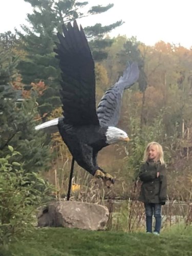 Photo post from I Saw It in Mn, Llc.