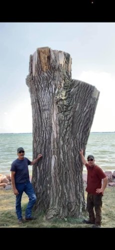 Carousel post from I Saw It in Mn, Llc.