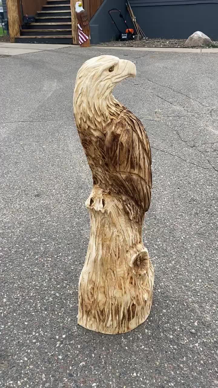 Video post from I Saw It in Mn, Llc.