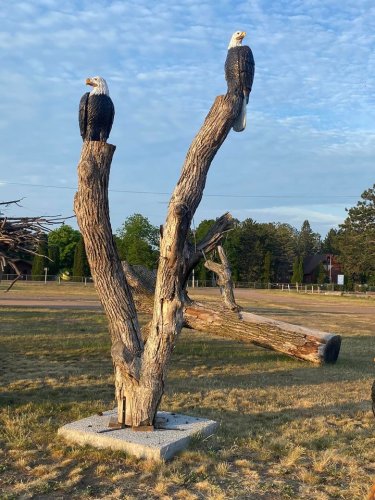 Carousel post from I Saw It in Mn, Llc.