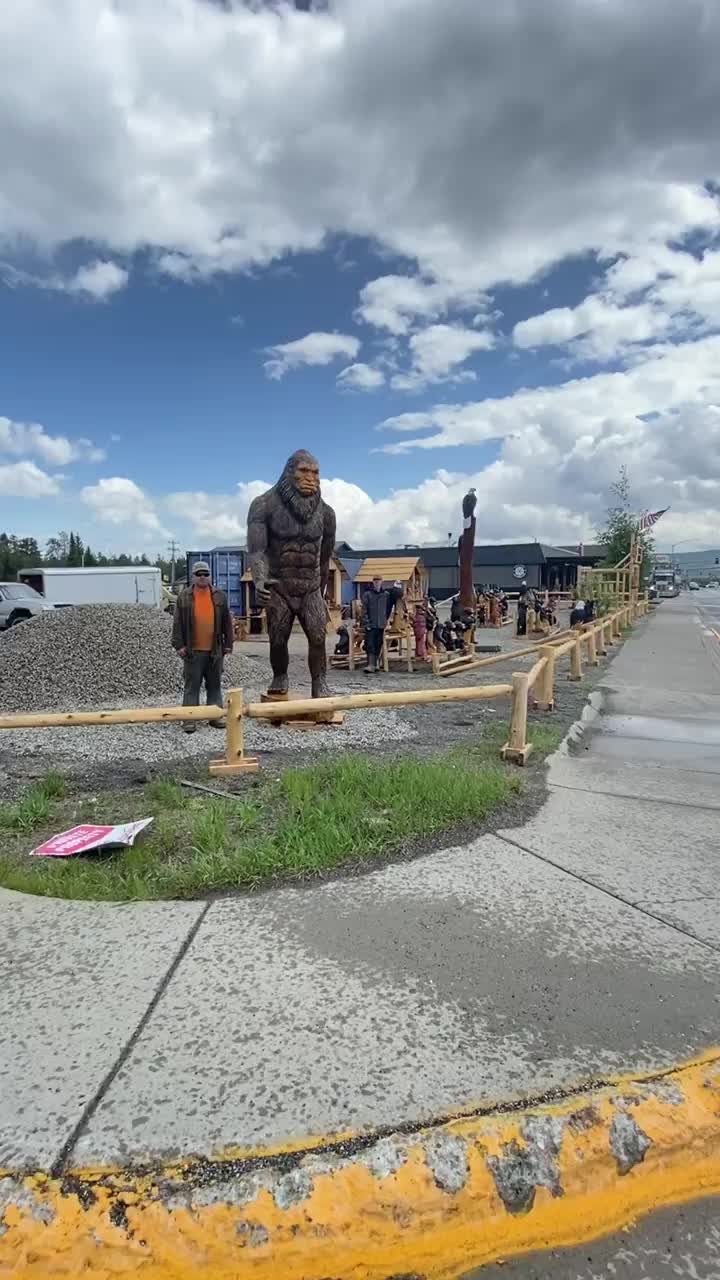 Video post from I Saw It in Mn, Llc.