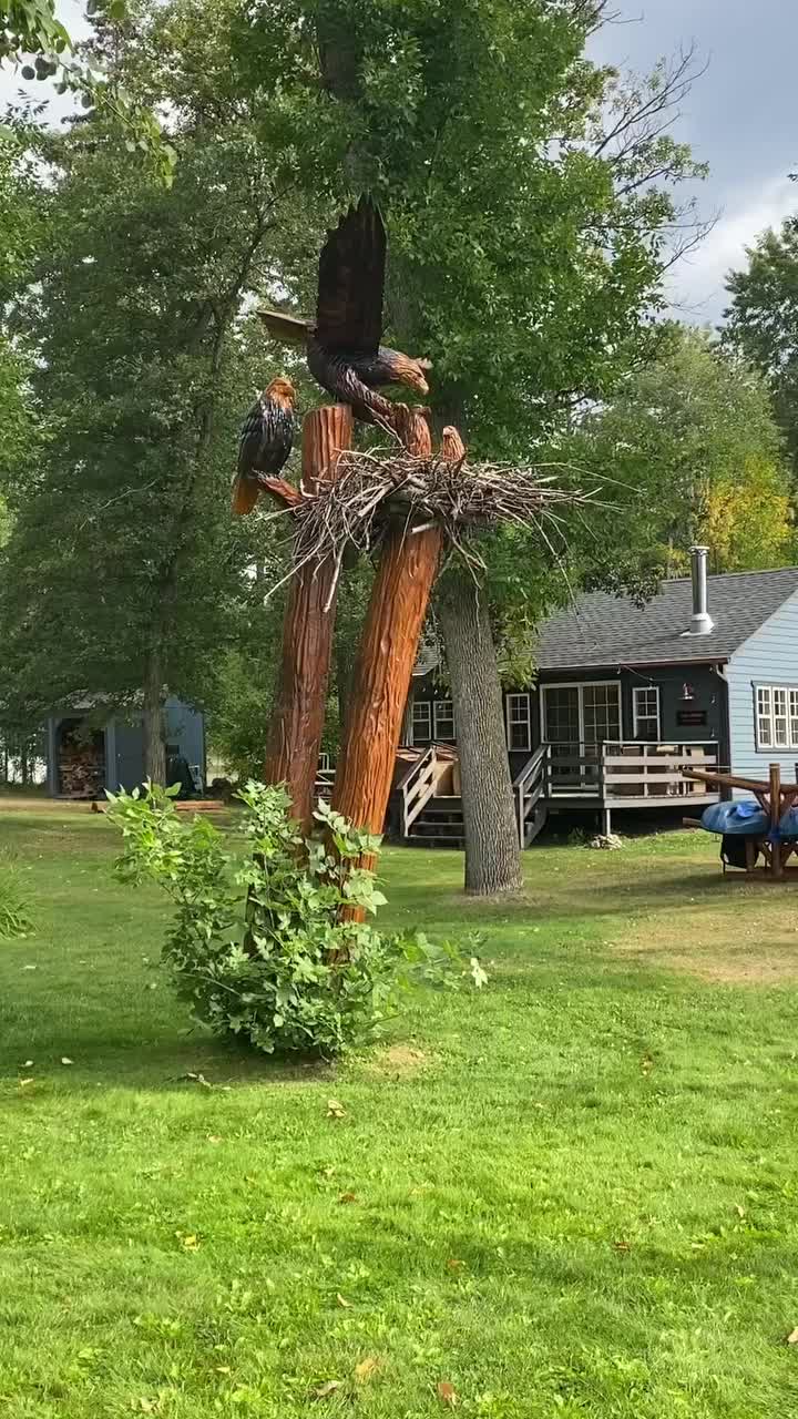 Video post from I Saw It in Mn, Llc.