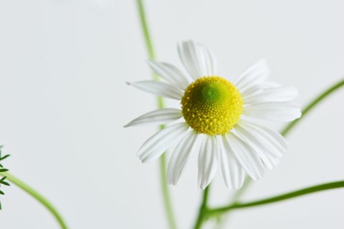 Photo post from @dermed_jp.