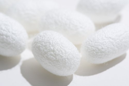 Photo post from @dermed_jp.