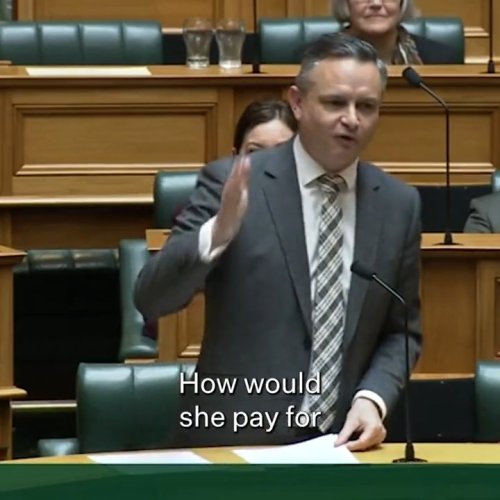 Photo post from @NZGreens.