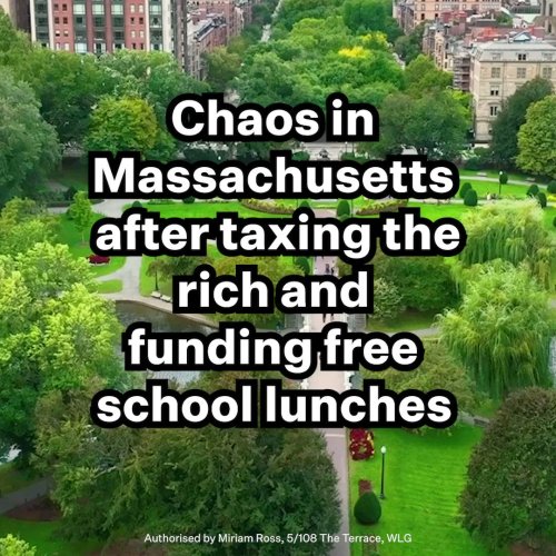 Photo post from @NZGreens.