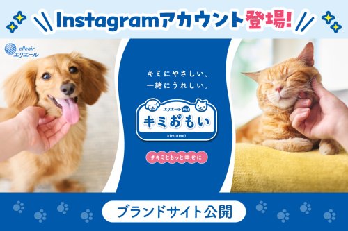 Photo post from @elleairofficial.