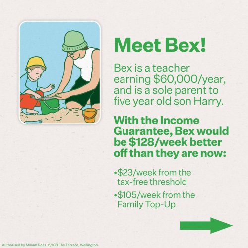 Carousel post from @NZGreens.