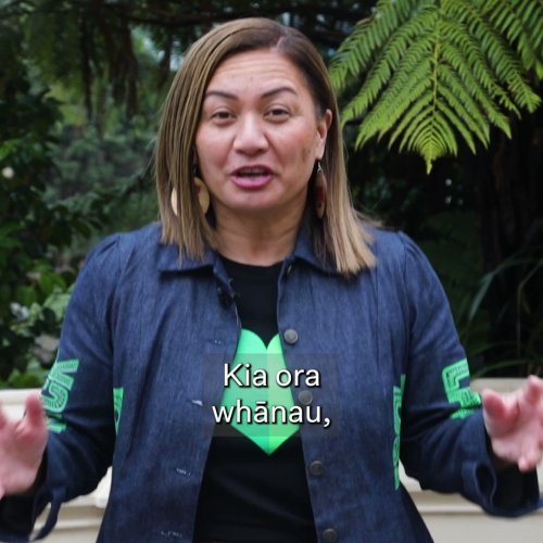 Photo post from @NZGreens.