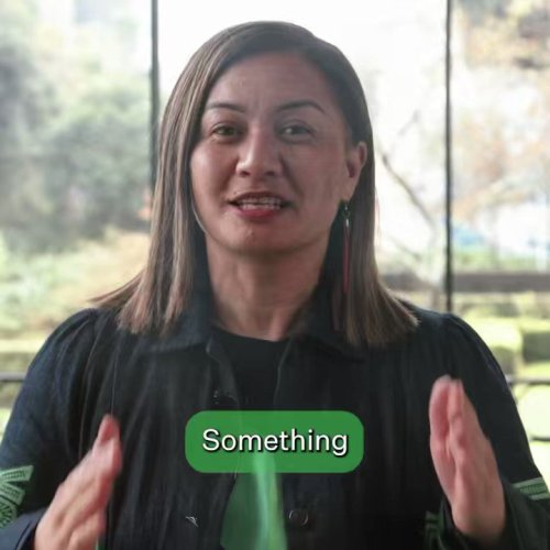 Photo post from @NZGreens.