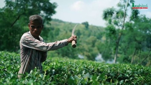 Video post from beautifulbangladeshofficial.