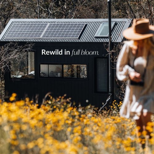 Photo post from in2thewild.aus.