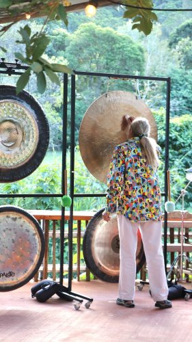 Video post from currumbinvalleyharvest.