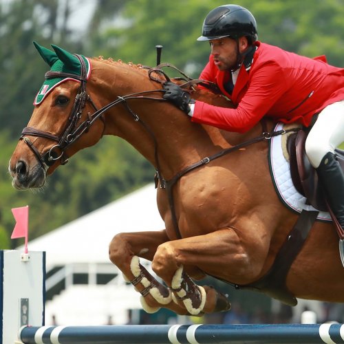 Carousel post from fei_global.