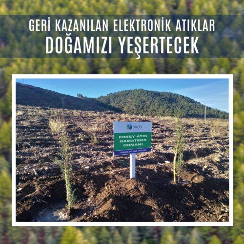 Photo post from dogavecevrevakfi.