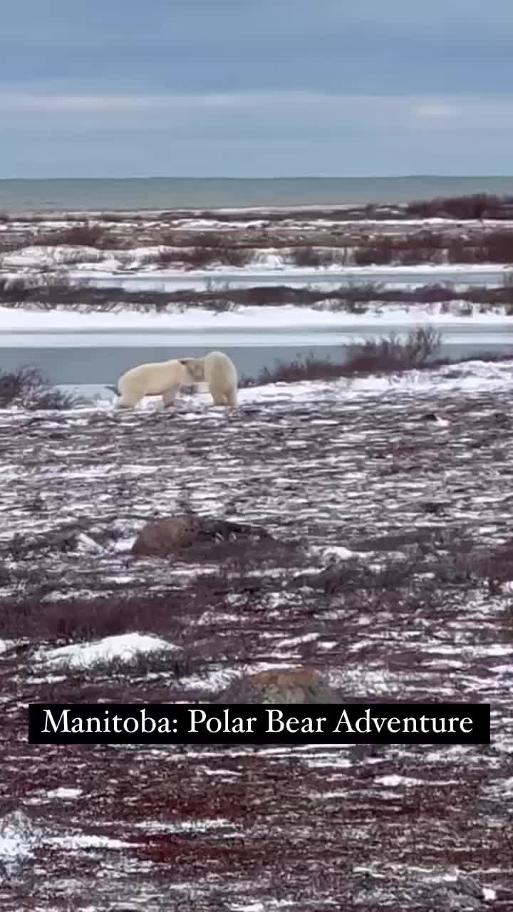 Video post from taucktravel.