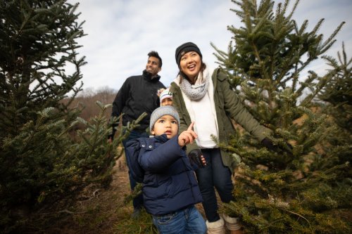 Carousel post from dutchesstourism.