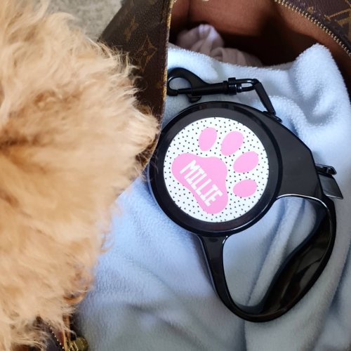 Photo post from furrypeeps.