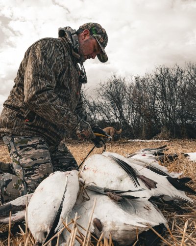 Photo post from northernskiesoutfitters.