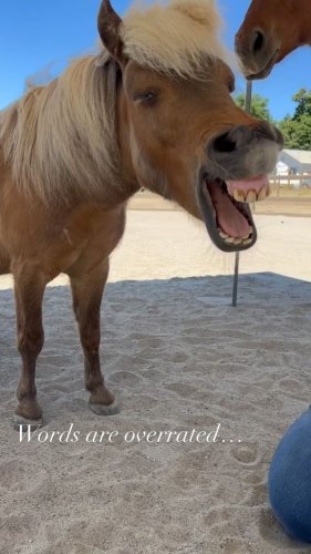 Video post from __amber_lydic__.