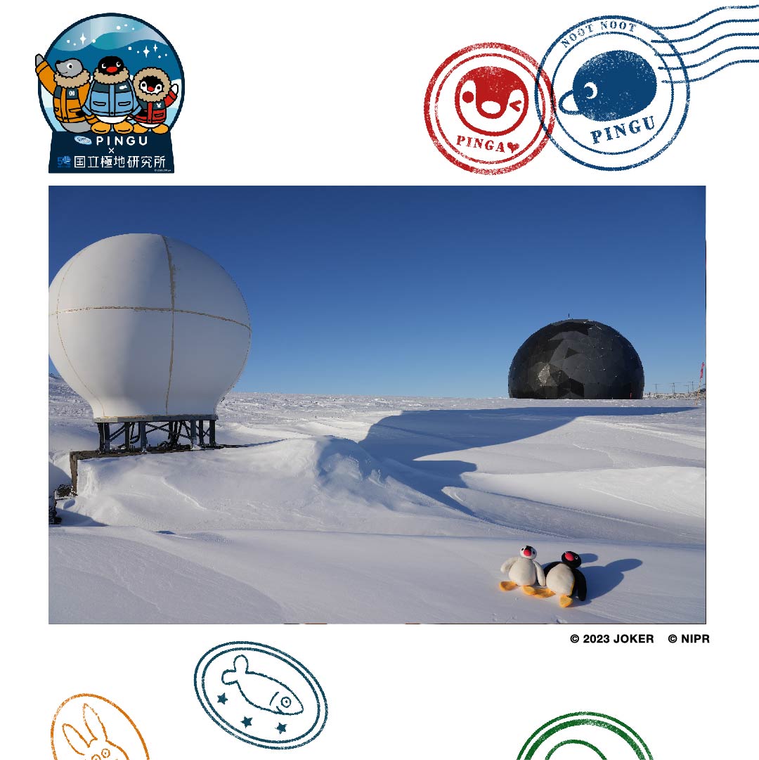 Photo post from pingu_jp.