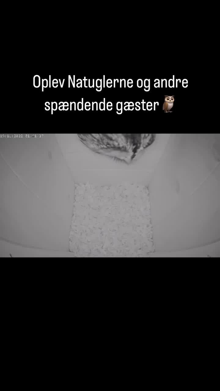 Video post from naturbutikken.dk.