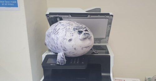 Photo post from kasarstays.