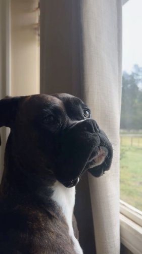 Video post from __amber_lydic__.