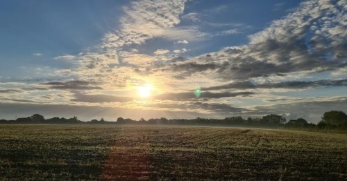 Photo post from kasarstays.