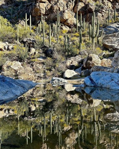 Carousel post from visittucson.